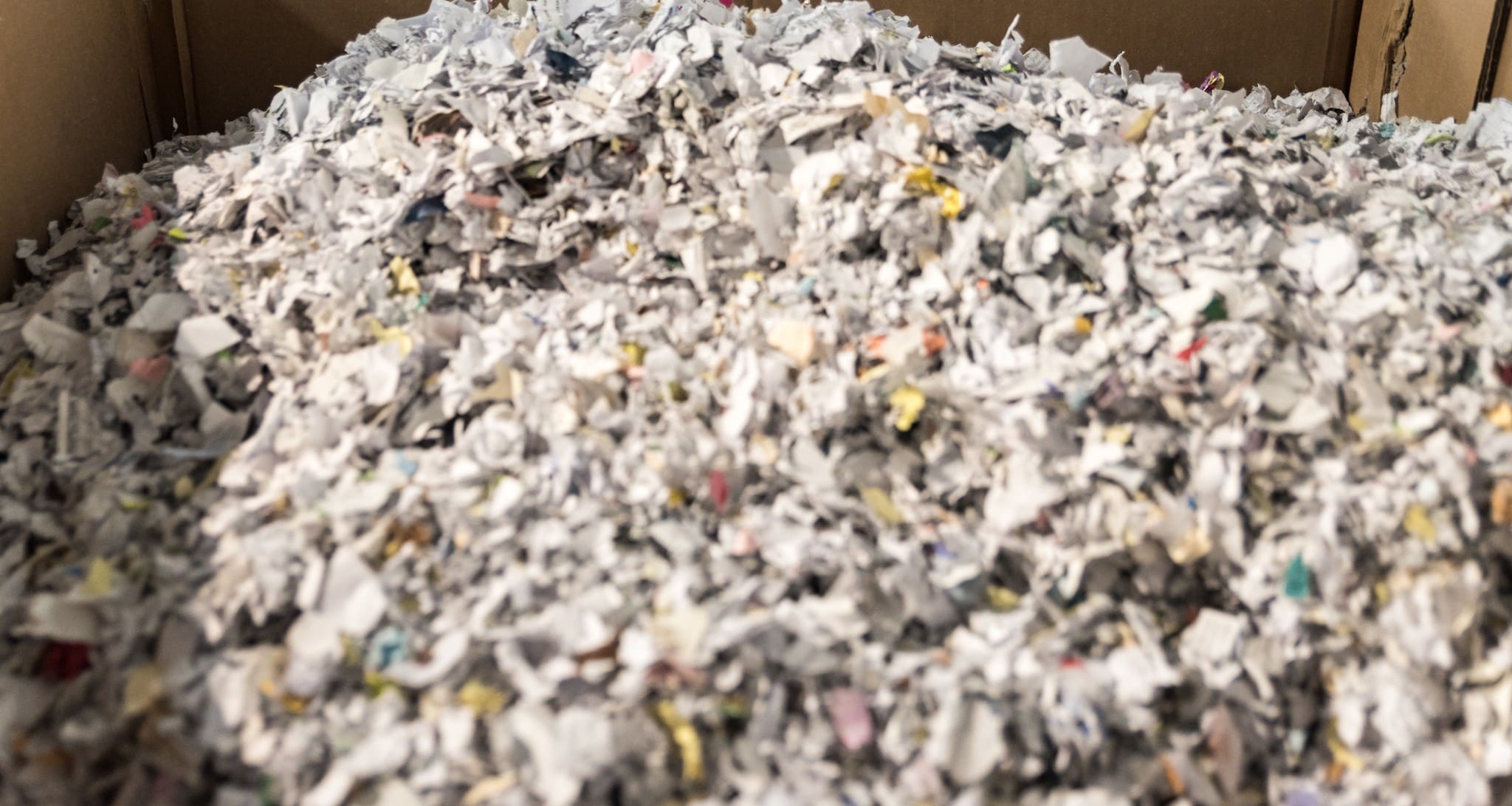 WILLb-20180627-DSC_5435 (1)